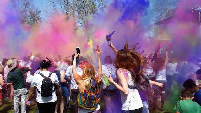 festival-2297566